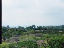Bayshore Park (D16), Condominium #203502191